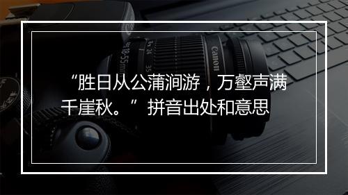 “胜日从公蒲涧游，万壑声满千崖秋。”拼音出处和意思