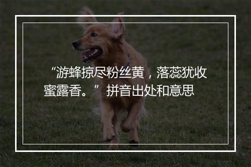 “游蜂掠尽粉丝黄，落蕊犹收蜜露香。”拼音出处和意思