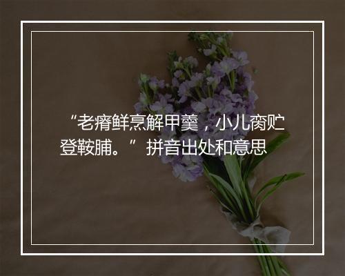 “老瘠鲜烹解甲羹，小儿脔贮登鞍脯。”拼音出处和意思