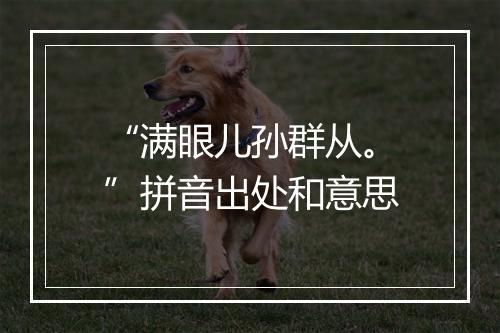 “满眼儿孙群从。”拼音出处和意思