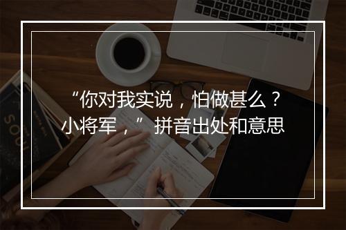 “你对我实说，怕做甚么？小将军，”拼音出处和意思