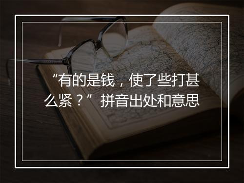 “有的是钱，使了些打甚么紧？”拼音出处和意思