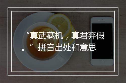 “真武藏机，真君弃假。”拼音出处和意思