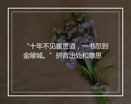 “十年不见董贯道，一书忽到金陵城。”拼音出处和意思