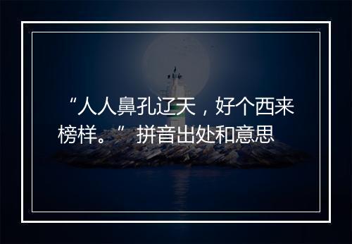 “人人鼻孔辽天，好个西来榜样。”拼音出处和意思