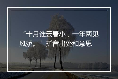 “十月谁云春小，一年两见风娇。”拼音出处和意思