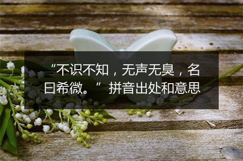 “不识不知，无声无臭，名曰希微。”拼音出处和意思