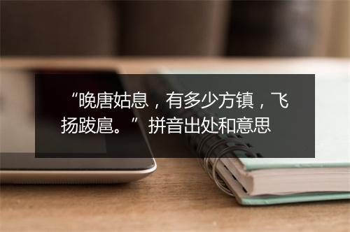 “晚唐姑息，有多少方镇，飞扬跋扈。”拼音出处和意思