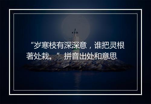 “岁寒枝有深深意，谁把灵根著处栽。”拼音出处和意思