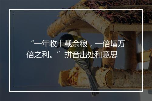 “一年收十载余粮，一倍增万倍之利。”拼音出处和意思