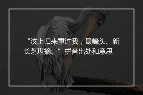 “汶上归来重过我，最峰头、新长芝堪摘。”拼音出处和意思