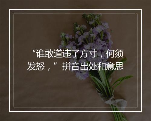 “谁敢道违了方寸，何须发怒，”拼音出处和意思