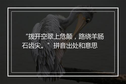 “拨开空翠上危颠，路绕羊肠石齿尖。”拼音出处和意思