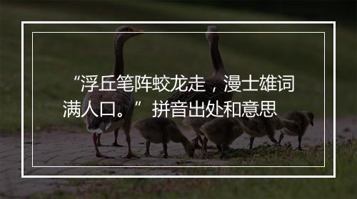 “浮丘笔阵蛟龙走，漫士雄词满人口。”拼音出处和意思