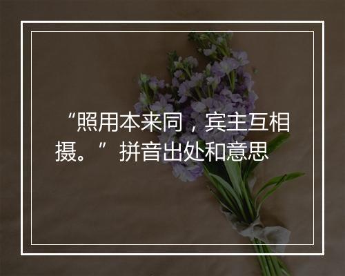 “照用本来同，宾主互相摄。”拼音出处和意思