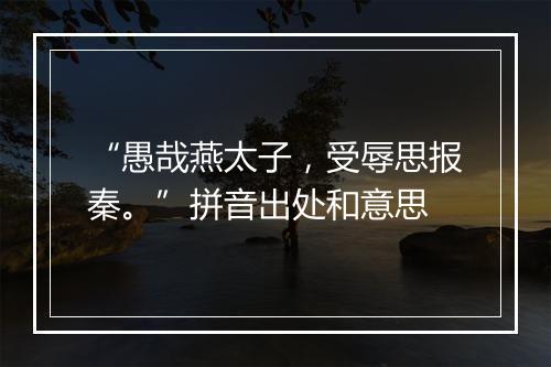 “愚哉燕太子，受辱思报秦。”拼音出处和意思