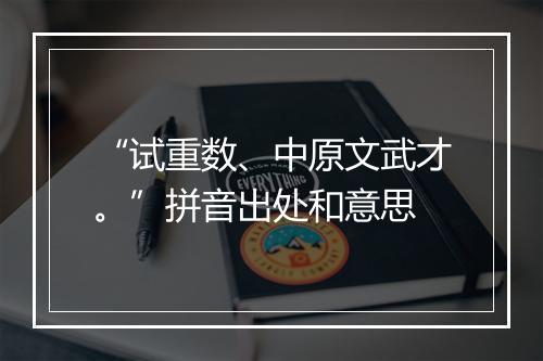 “试重数、中原文武才。”拼音出处和意思