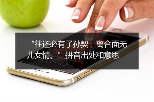 “往还必有子孙契，离合面无儿女情。”拼音出处和意思