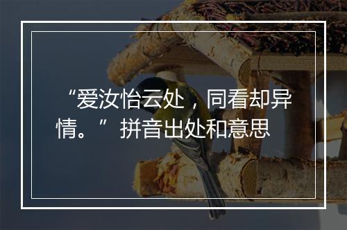 “爱汝怡云处，同看却异情。”拼音出处和意思