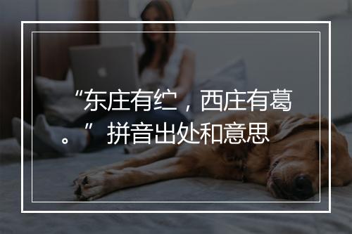 “东庄有纻，西庄有葛。”拼音出处和意思