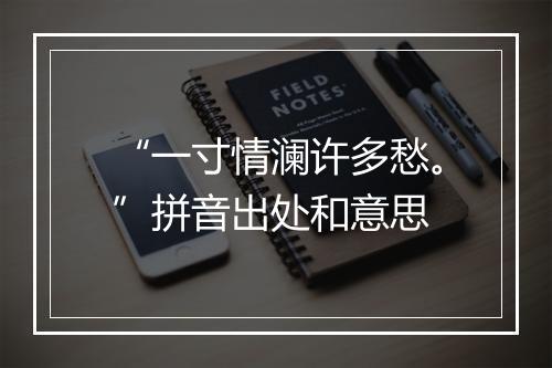 “一寸情澜许多愁。”拼音出处和意思