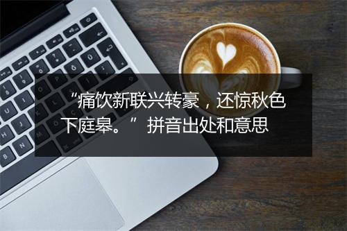 “痛饮新联兴转豪，还惊秋色下庭皋。”拼音出处和意思