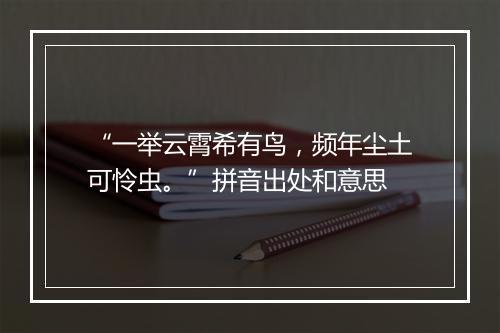 “一举云霄希有鸟，频年尘土可怜虫。”拼音出处和意思