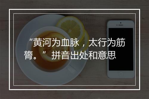 “黄河为血脉，太行为筋膂。”拼音出处和意思