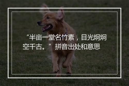 “半亩一堂名竹素，目光炯炯空千古。”拼音出处和意思