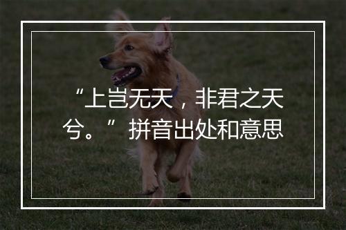 “上岂无天，非君之天兮。”拼音出处和意思