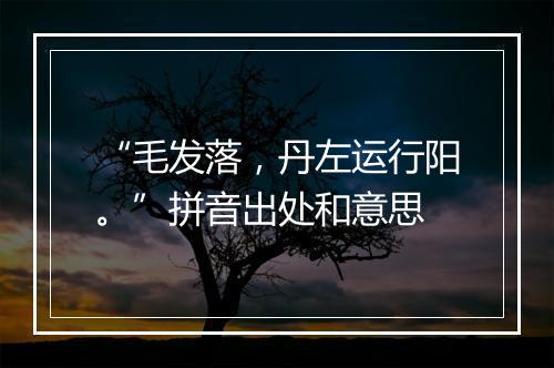 “毛发落，丹左运行阳。”拼音出处和意思