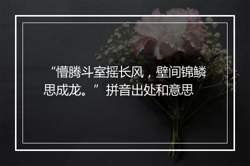 “懵腾斗室摇长风，壁间锦鳞思成龙。”拼音出处和意思