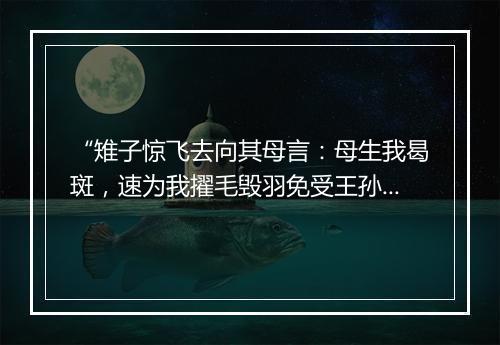 “雉子惊飞去向其母言：母生我曷斑，速为我擢毛毁羽免受王孙弹。”拼音出处和意思