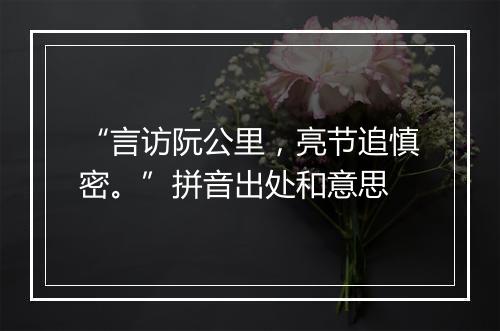 “言访阮公里，亮节追慎密。”拼音出处和意思