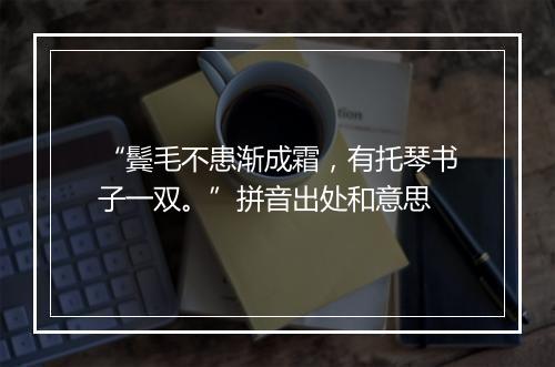 “鬓毛不患渐成霜，有托琴书子一双。”拼音出处和意思