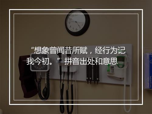 “想象曾闻昔所赋，经行为记我今初。”拼音出处和意思