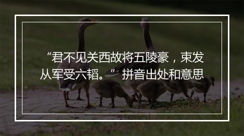 “君不见关西故将五陵豪，束发从军受六韬。”拼音出处和意思