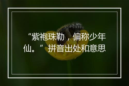 “紫袍珠勒，偏称少年仙。”拼音出处和意思