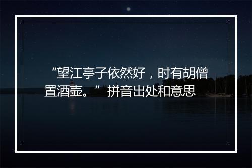 “望江亭子依然好，时有胡僧置酒壶。”拼音出处和意思