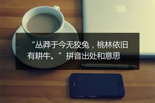 “丛莽于今无狡兔，桃林依旧有耕牛。”拼音出处和意思