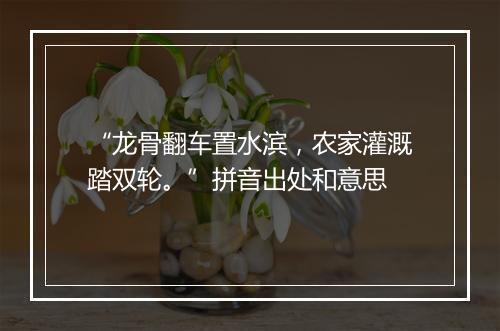 “龙骨翻车置水滨，农家灌溉踏双轮。”拼音出处和意思