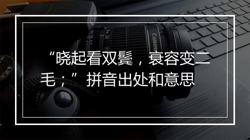 “晓起看双鬓，衰容变二毛；”拼音出处和意思