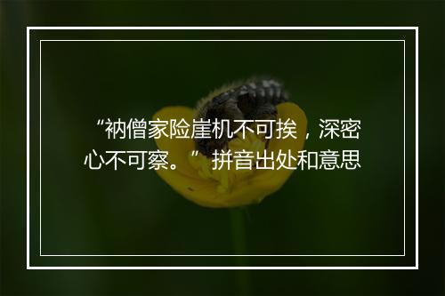 “衲僧家险崖机不可挨，深密心不可察。”拼音出处和意思