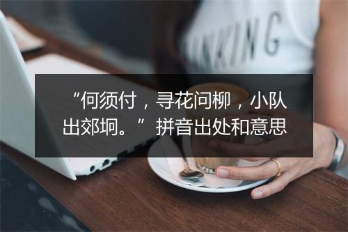 “何须付，寻花问柳，小队出郊坰。”拼音出处和意思