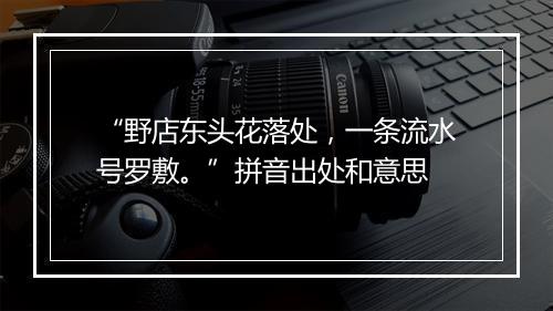 “野店东头花落处，一条流水号罗敷。”拼音出处和意思