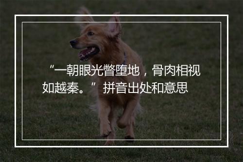 “一朝眼光瞥堕地，骨肉相视如越秦。”拼音出处和意思