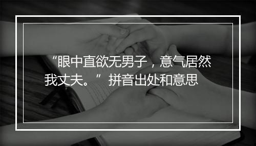 “眼中直欲无男子，意气居然我丈夫。”拼音出处和意思