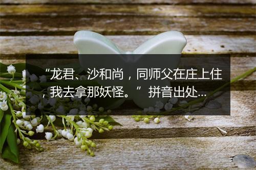 “龙君、沙和尚，同师父在庄上住，我去拿那妖怪。”拼音出处和意思