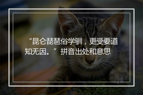 “昆仑琵琶俗学驯，更受要道知无因。”拼音出处和意思