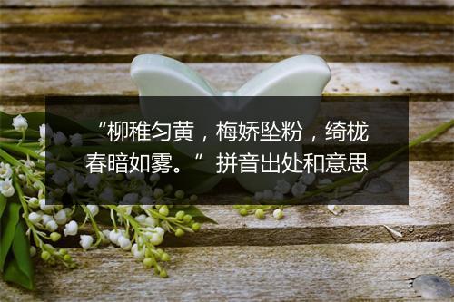 “柳稚匀黄，梅娇坠粉，绮栊春暗如雾。”拼音出处和意思